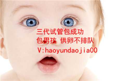 上海代孕那儿最权威_上海找人代生孩子触法吗_胎儿第一次排畸NT检查知多少