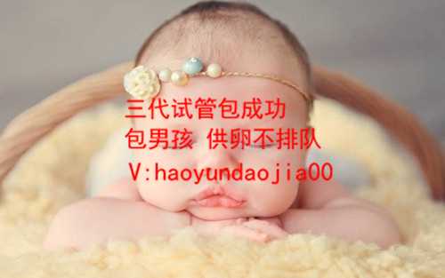 上海供卵试管生殖中心_那里有代孕女_泰国试管需要费用_泰国试管婴儿费用需要