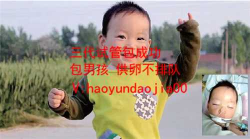 上海代孕费用多少_55岁高龄试管必备条件_备孕生男孩的碱性食物有哪些