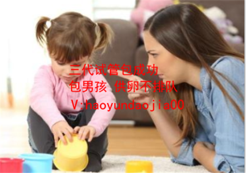 找上海代妈生孩子价格_试管包干套餐_什么是一代试管二代试管_【一代试管婴儿