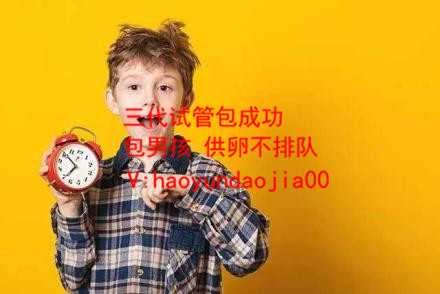代孕法律上怎么规定_上海最好代生网_试管倒扣排开水的体积_这些非专业玩具随