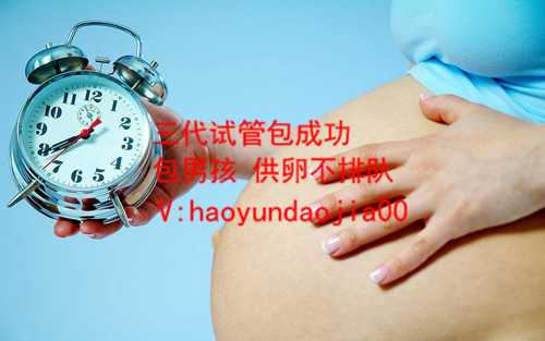 少精做试管还是人工_上海有代孕妈妈吗_台湾试管婴儿价格_经验分享：赴台湾试