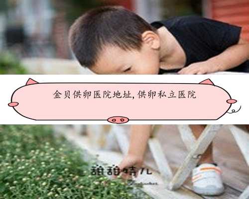 28岁卵子数量多少正常&供卵做无创有用吗&广州十大试管婴儿医院排名中哪家公